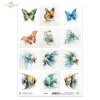 motyl, akwarela, złota rybka, skalar, ryby*butterfly, watercolor, goldfish, angelfish, fish*butterfly, watercolor, goldfish, angelfish, fis